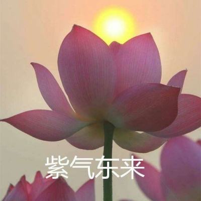 手游图文资讯app下载